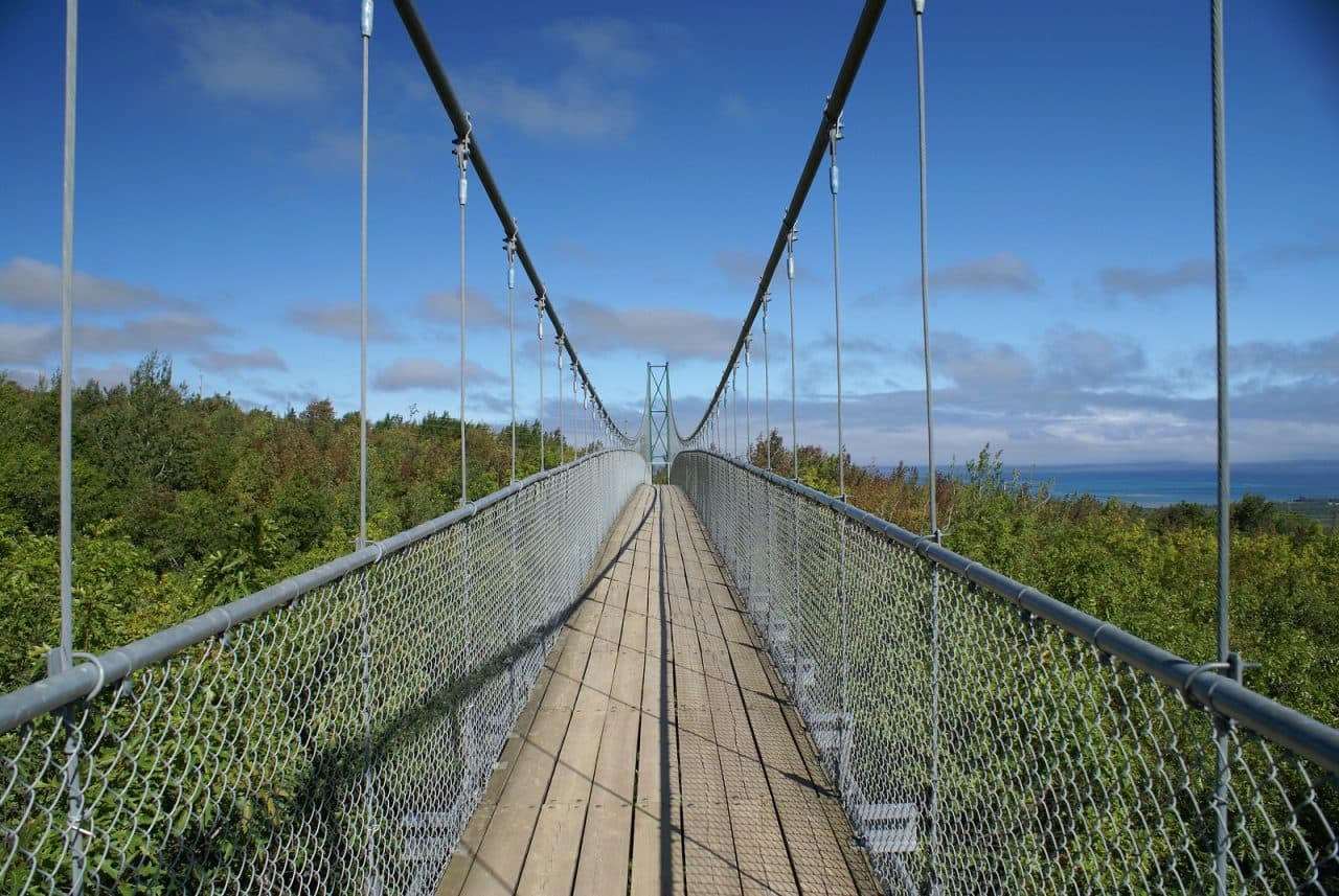 Suspension Footbridge with green trees