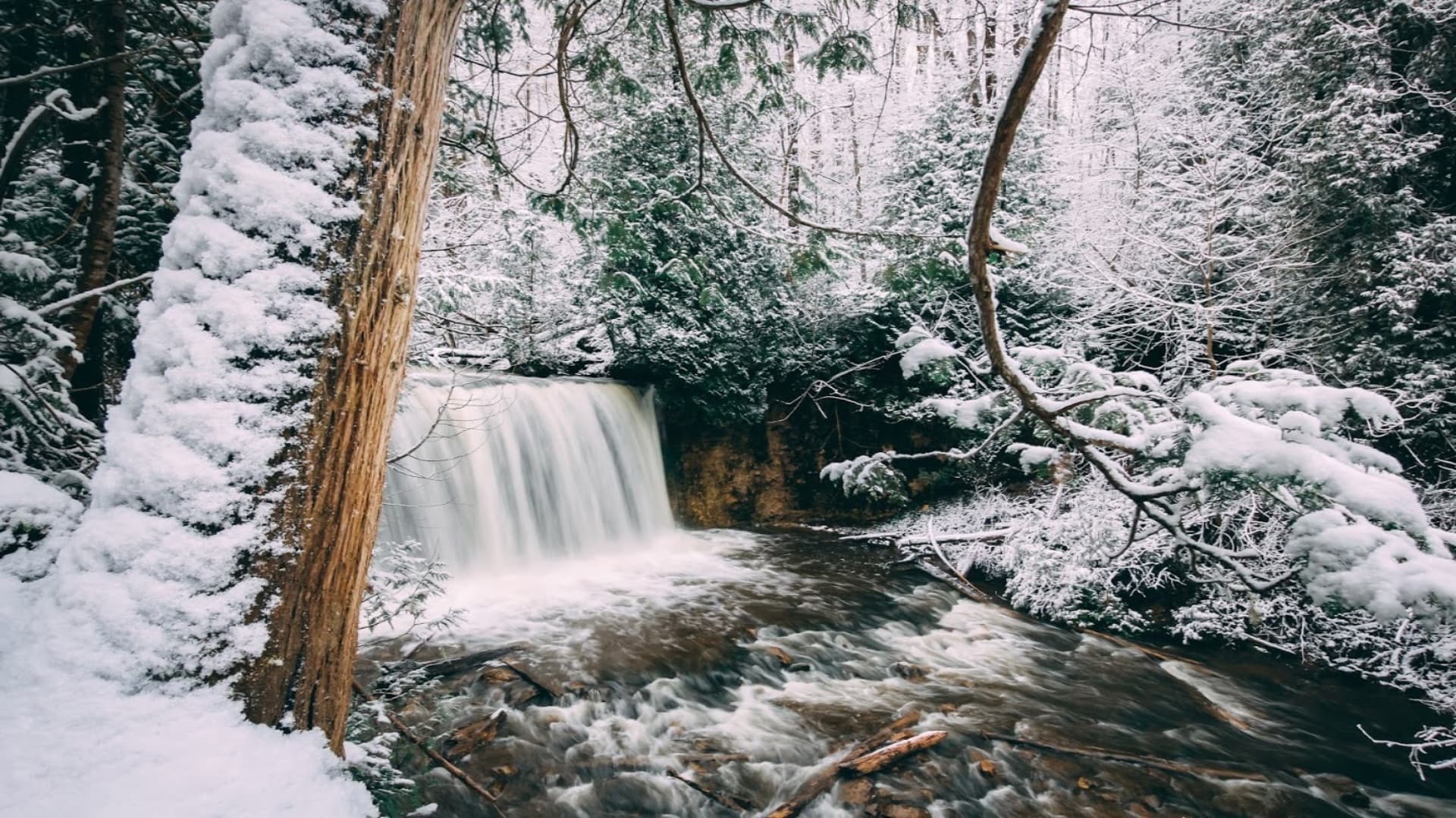 A snowy landscape with a waterfall cascading into a river surrounded by evergreen trees.