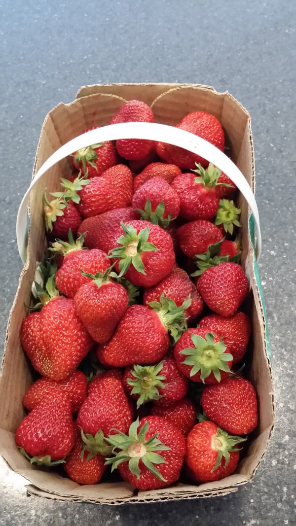 A cardboard basket filled with fresh, ripe strawberries.