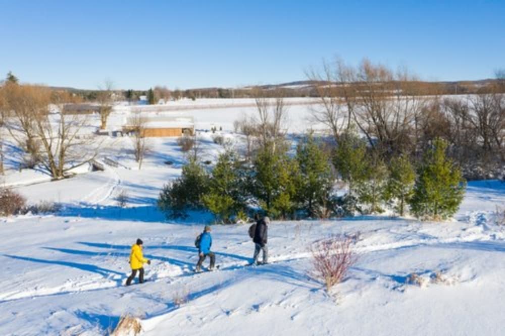 Three people walking through a snowy landscape under a clear blue sky.