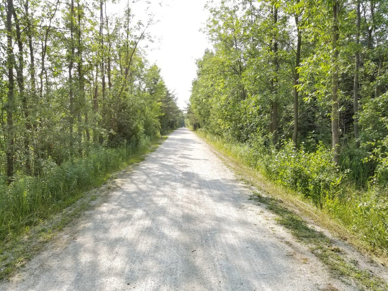Georgian trail with trees on each side of trail