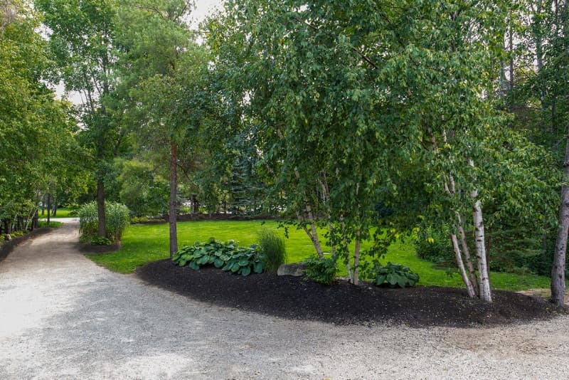 View of green grass in front yard with trees