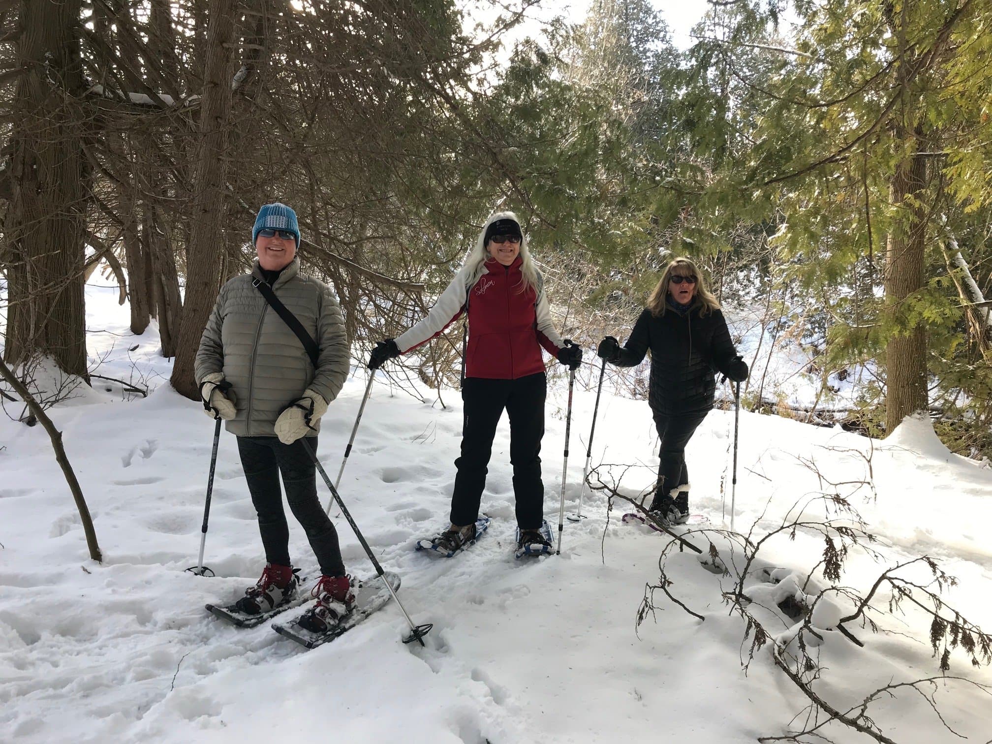 Three people snowshoeing through a snowy forest.