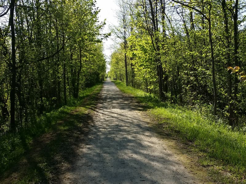 Tree Lined Georgian trail