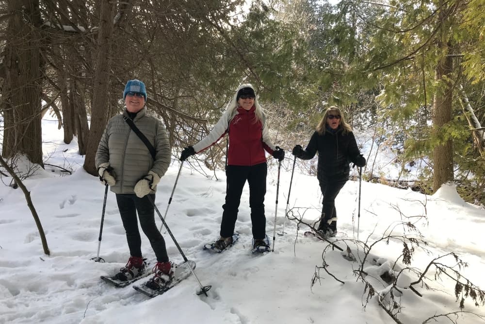 Three people snowshoeing through a snowy forest.