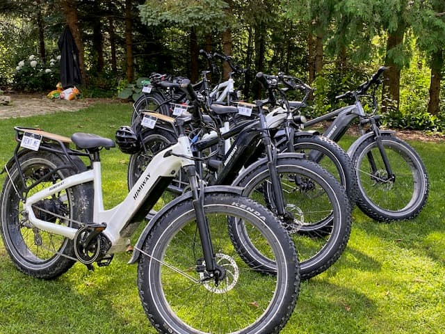 A row of electric bicycles parked on grassy ground with trees in the background.