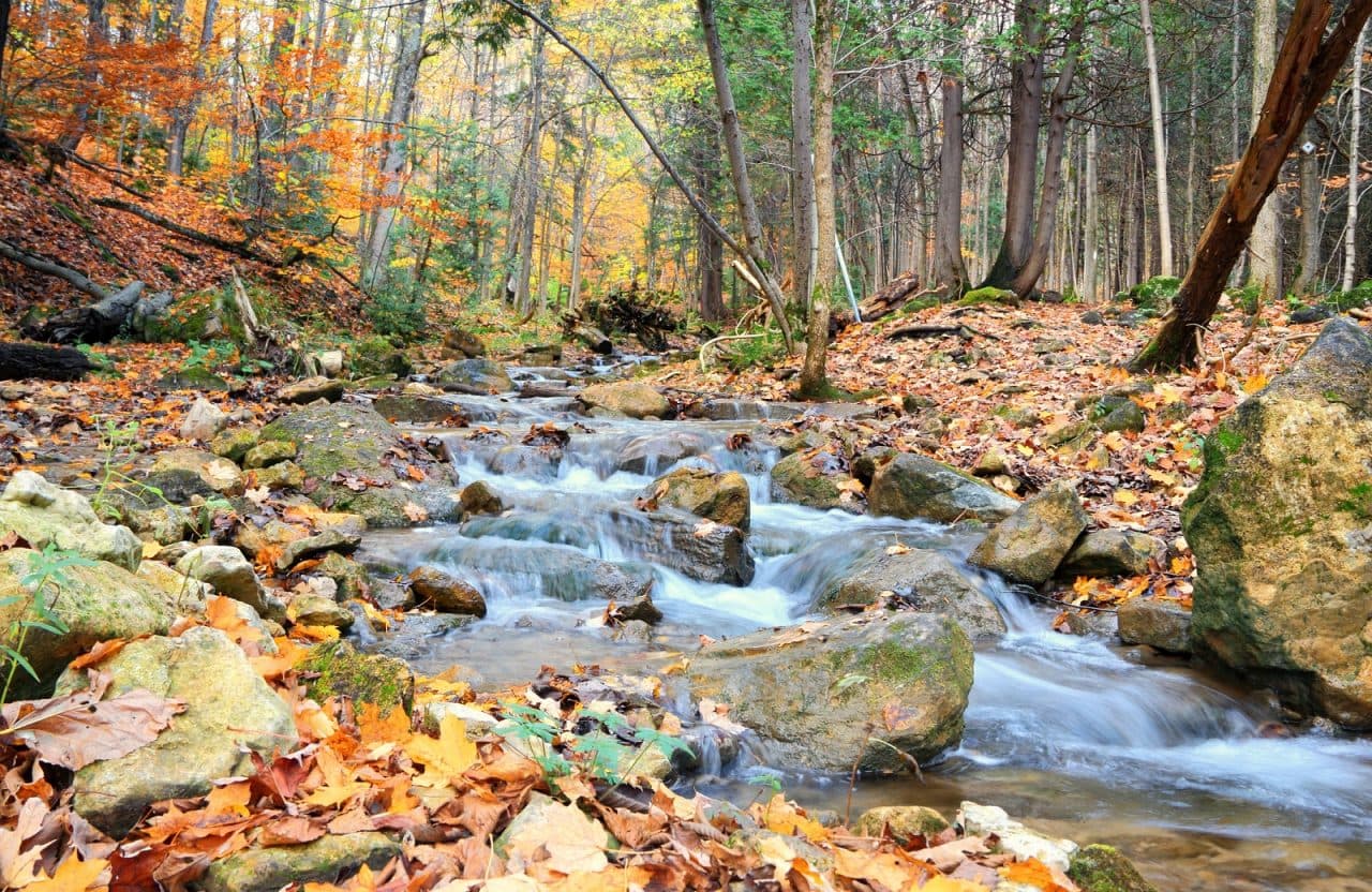 Pretty River running through the valley