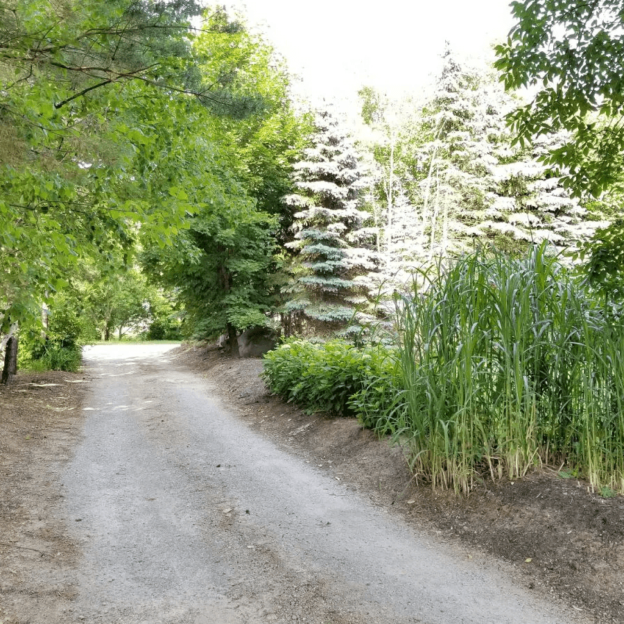 Winding driveway surrounded by trees, flower beds and green grass